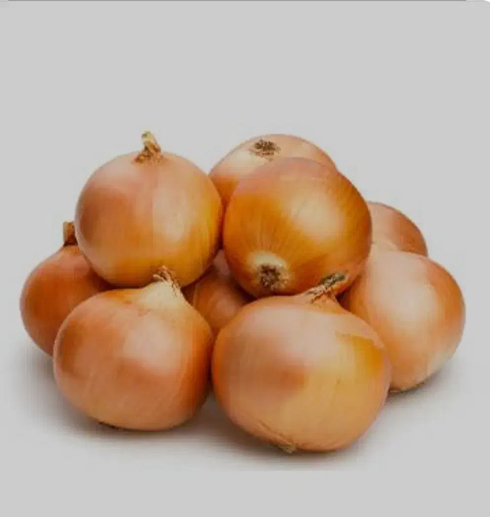 پیاز زرد شماره تماس|حراج|قوچان, |دیوار