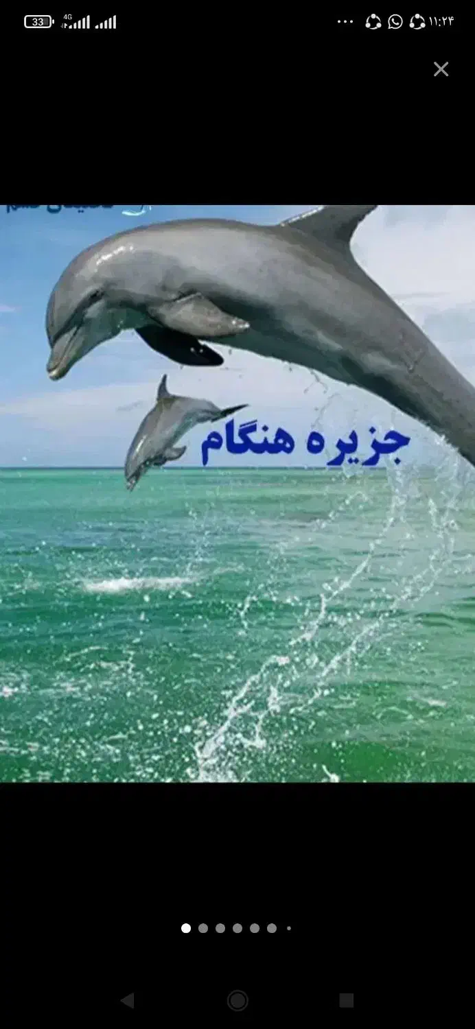 جزیره گردی|تور و چارتر|قشم, |دیوار