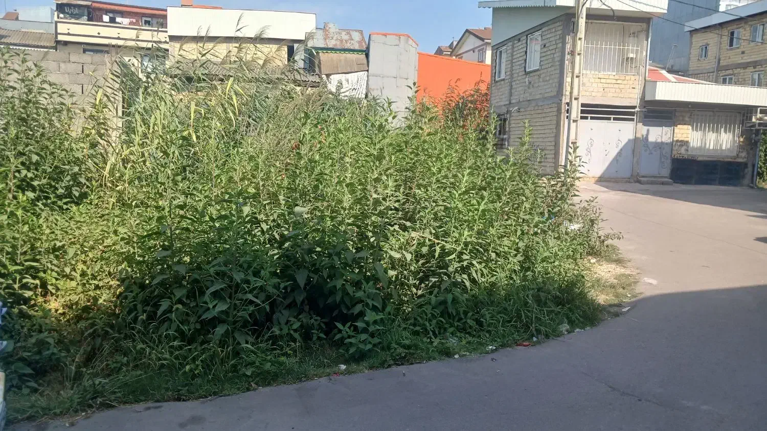 زمین ۸۱ متر دوبر|فروش زمین و ملک کلنگی|رشت, حمیدیان|دیوار