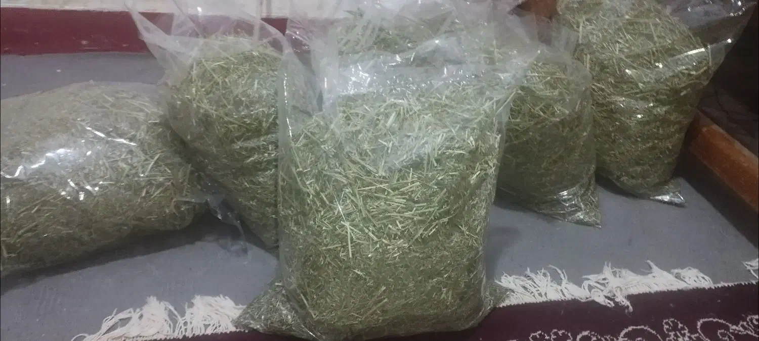 فروش بسته بندی غذای خرگوش (علوفه)|عمده‌فروشی|بوشهر, |دیوار