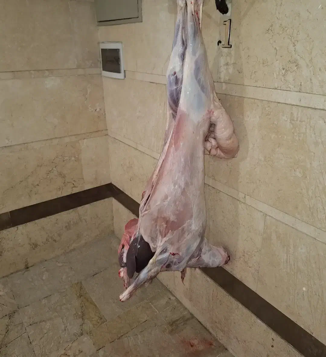 قصاب|خدمات پذیرایی، مراسم|چهاردانگه (تهران), |دیوار