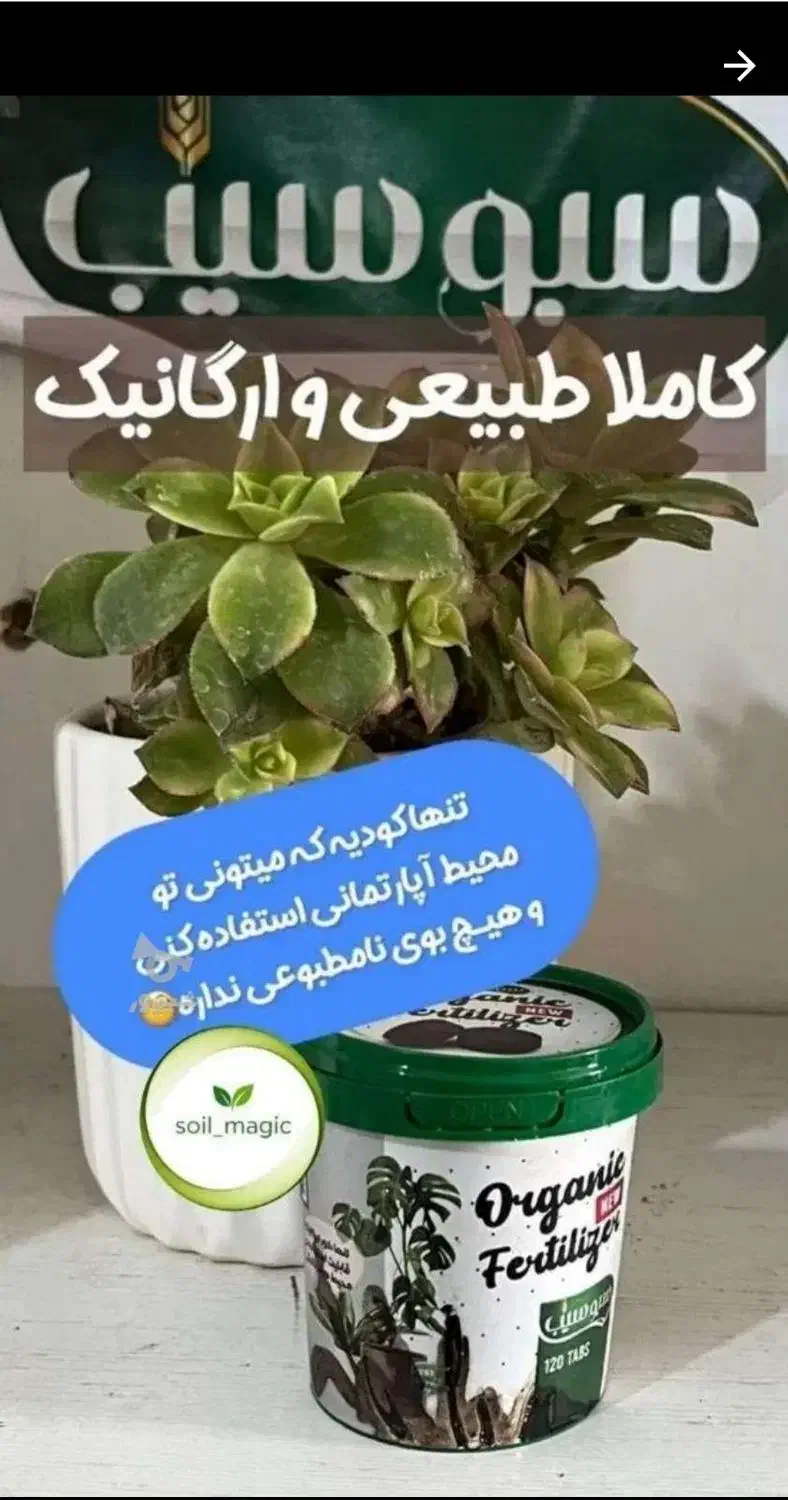 کود ارگانیک قرصی برای گلهای آپارتمانی|گل و گیاه طبیعی|گنبد کاووس, |دیوار