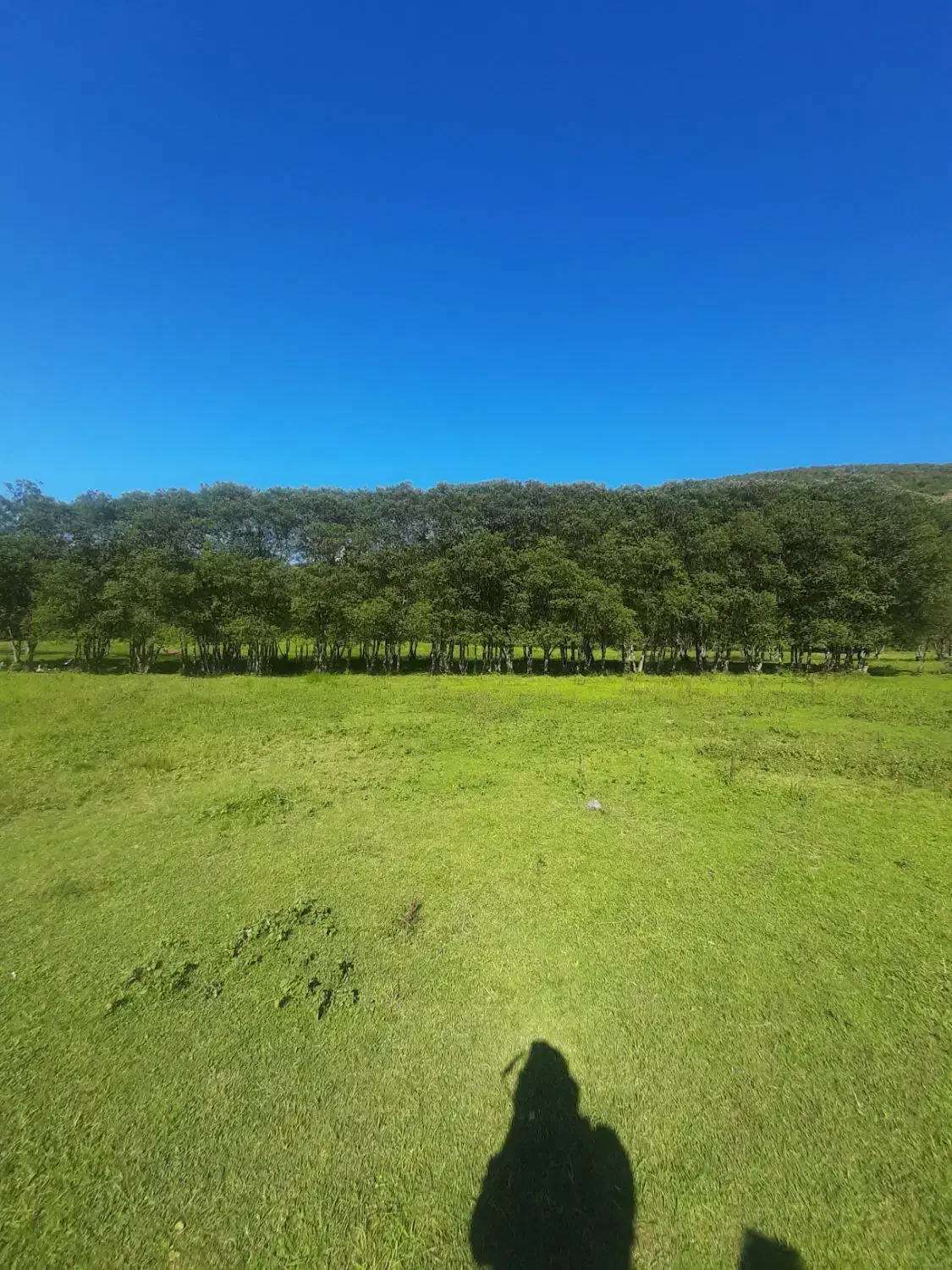 تفریح|فعالیت داوطلبانه|ایلام, |دیوار