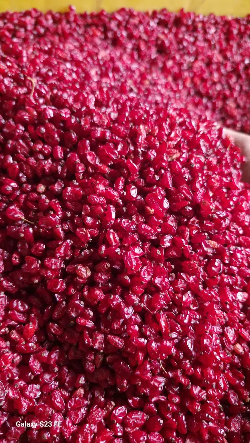 زرشک امسالی اناری زیر تالاری|خوردنی و آشامیدنی|قائن, |دیوار