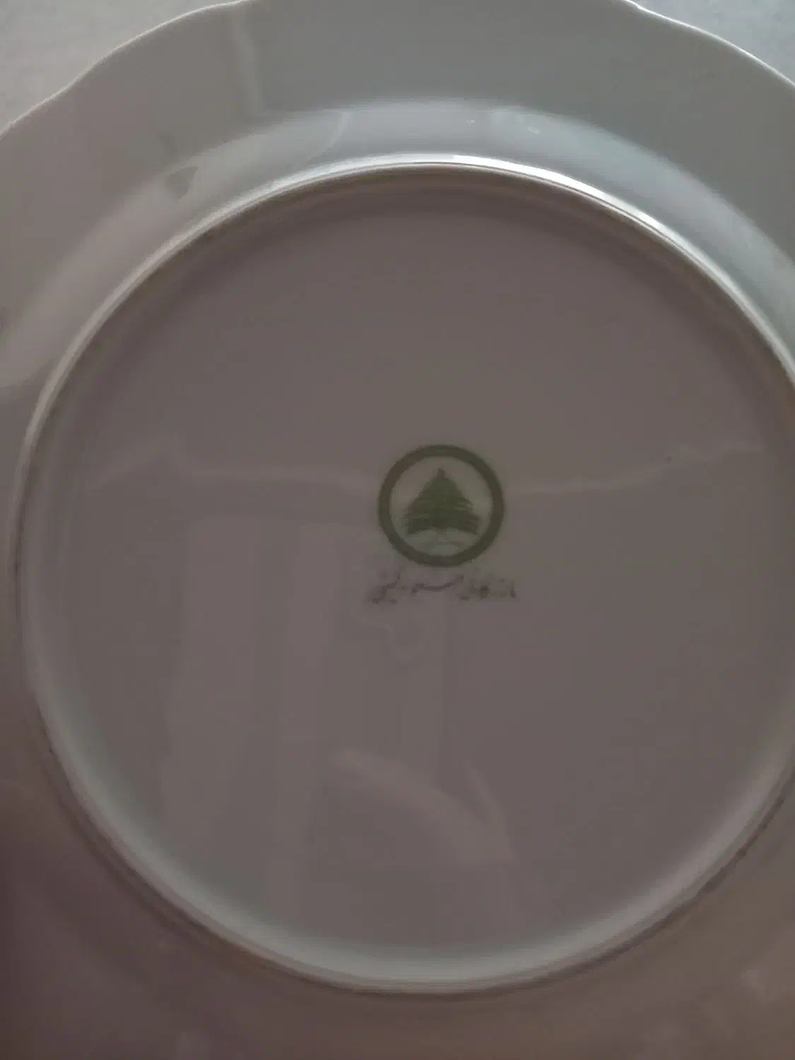 بشقاب پلوخوری وخورش خوری گلسرخی|ظروف سرو و پذیرایی|محمدشهر, همایون ویلا|دیوار