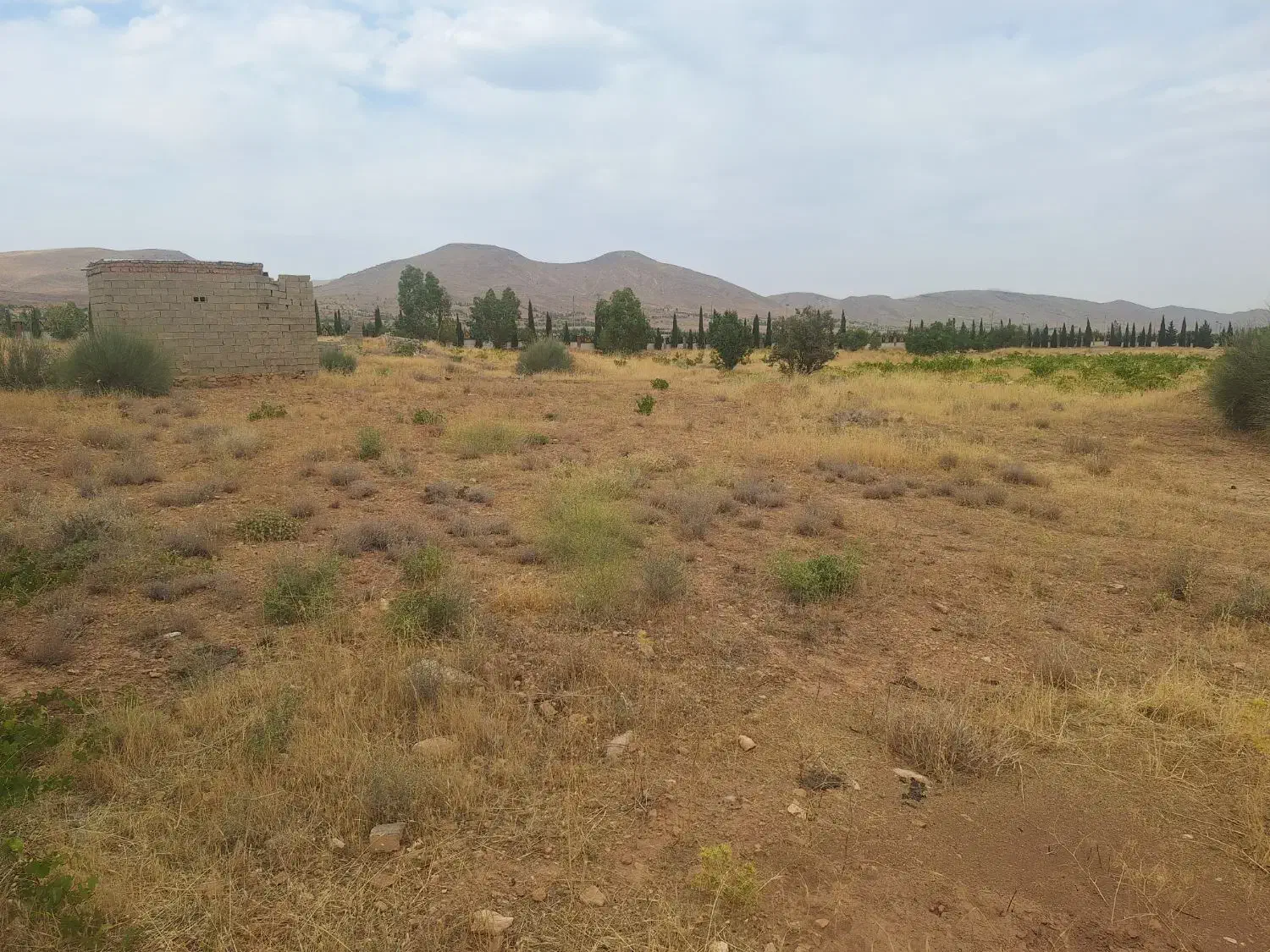 باغ انگور سر راه بردج فروش یا نعاوضه|فروش زمین و ملک کلنگی|شیراز, شهدای شهرک سعدی|دیوار