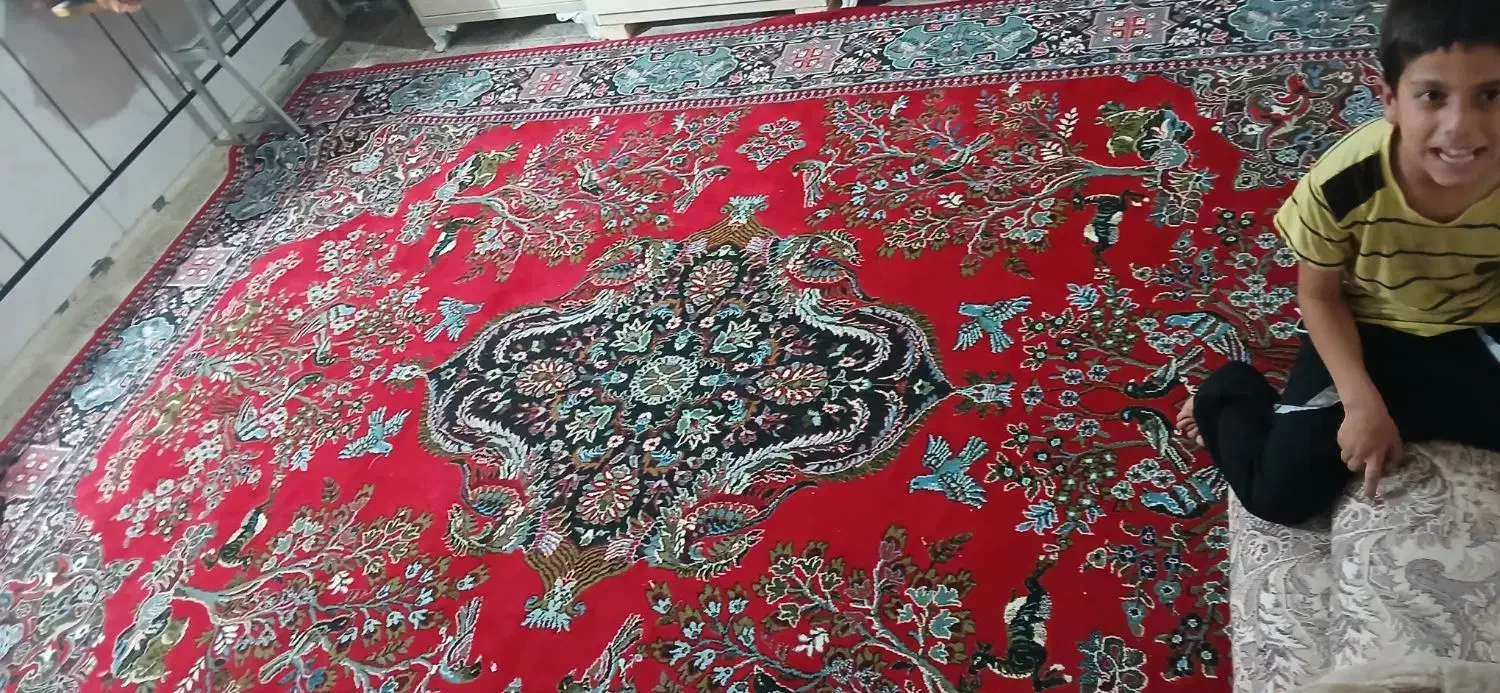 دو عدد فرش یه ۱۲ متری ۲عدد ۶ متری|فرش|دزفول, |دیوار