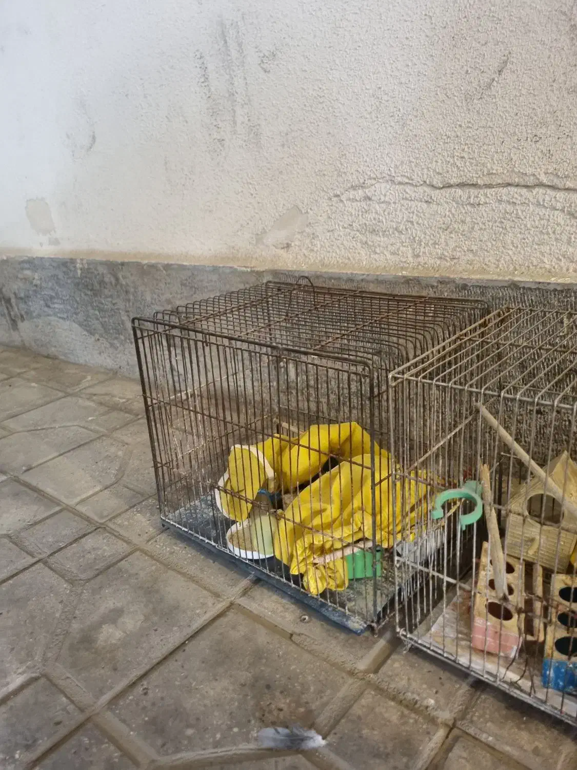 ۳عدد قفس پرنده نو با لوازم جانبی|لوازم جانبی حیوانات|اندیشه, شهرک مریم|دیوار