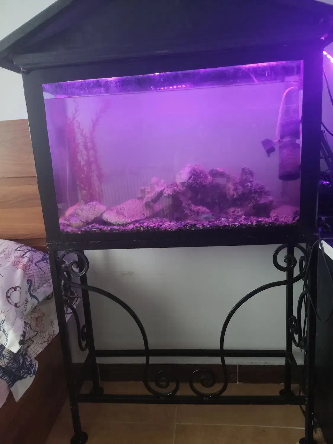 اکواریوم بزرگ با تمام لوازم مرجان های خواص|ماهی|قائم‌شهر, |دیوار