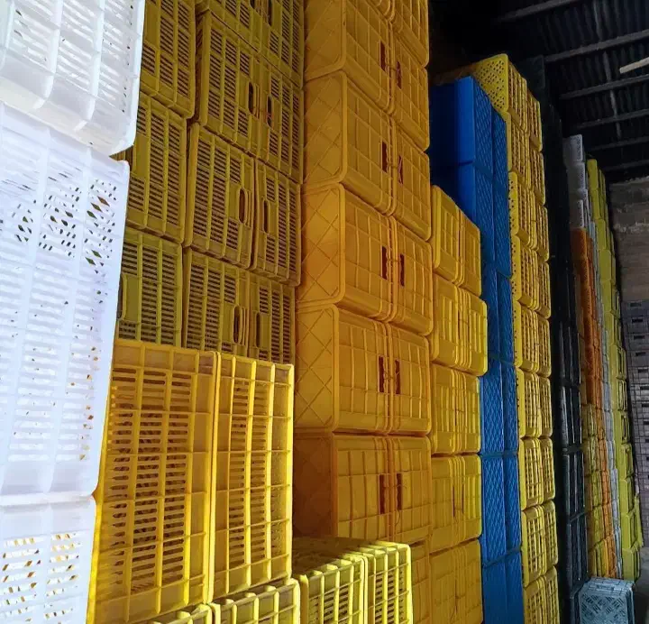 سبد پالت|ظروف نگهدارنده، پلاستیکی، یک‌بارمصرف|برازجان, |دیوار