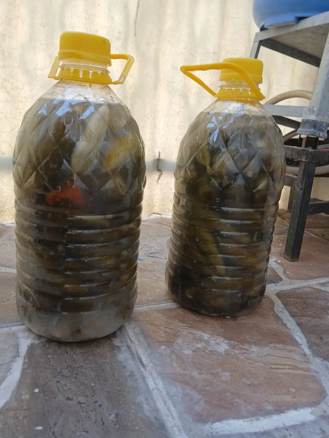 خیارشور|خوردنی و آشامیدنی|قرچک, باقرآباد|دیوار