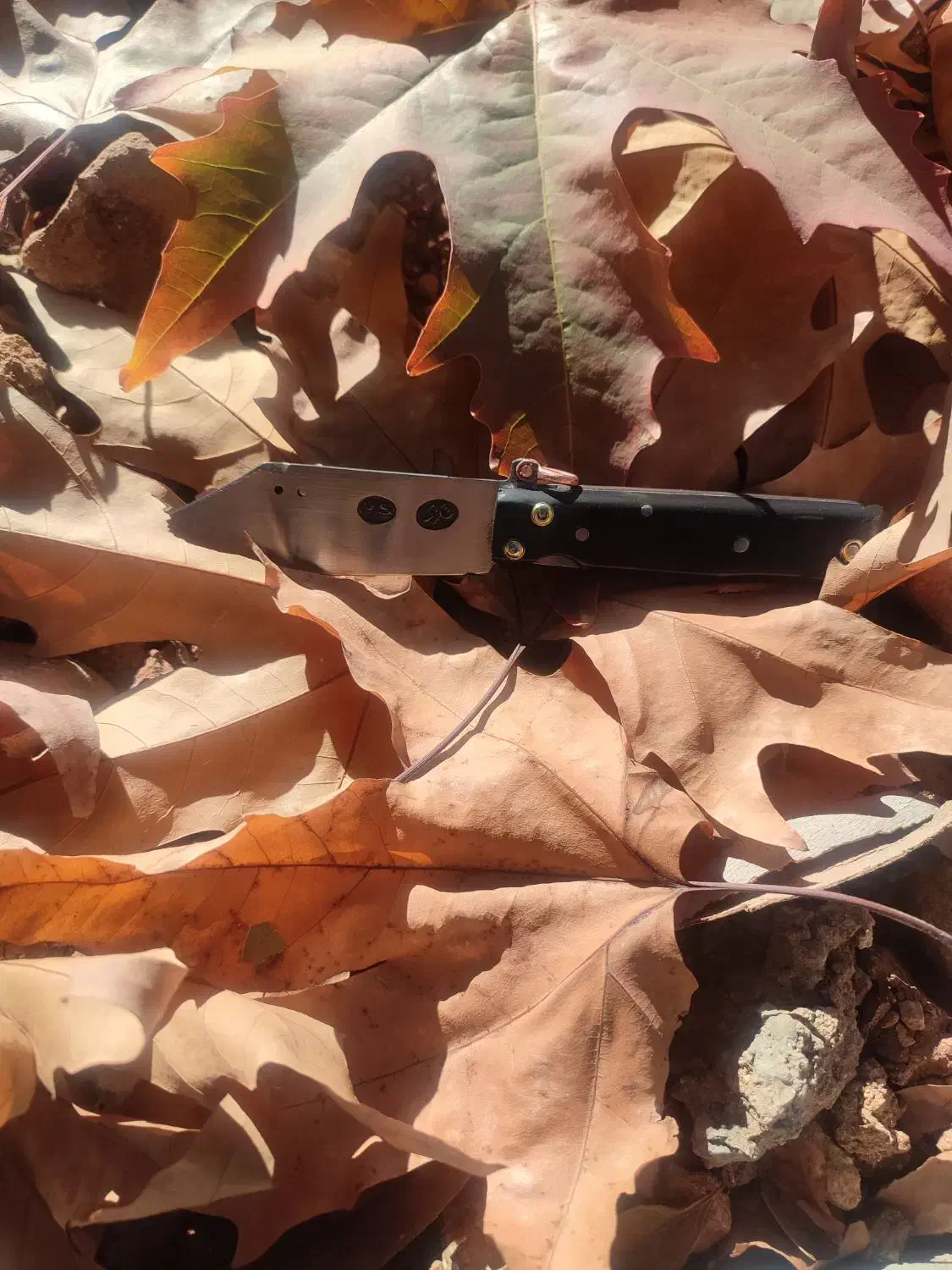 چاقو ضامن بغل|کوهنوردی و کمپینگ|دالاهو, |دیوار