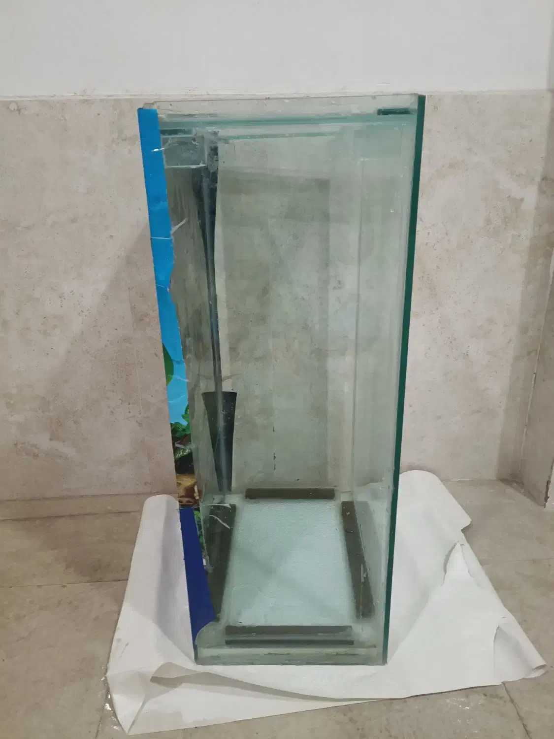 اکواریوم|ماهی|تربت‌حیدریه, قائم|دیوار