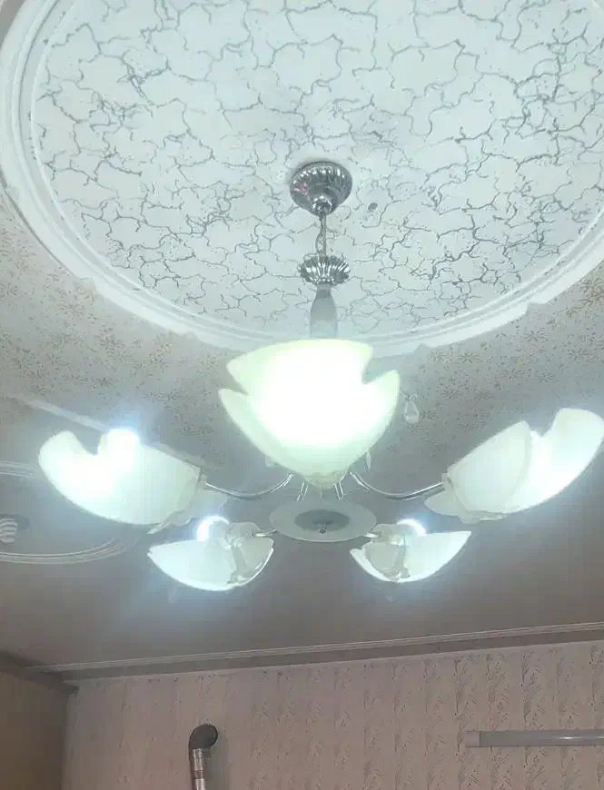 لوستر|لوستر و چراغ آویز|گلپایگان, |دیوار