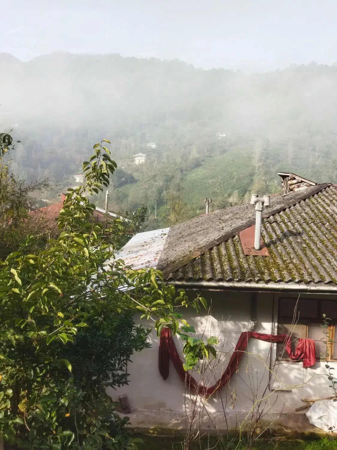 1300خانه محوطه سند تک برگ دل جنگهای هیرکانی|فروش خانه و ویلا|احمدسرگوراب, |دیوار