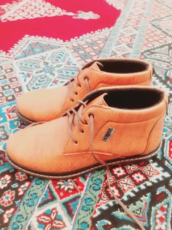 کفش نیم بوت  نو|کیف، کفش، کمربند|سوسنگرد, |دیوار