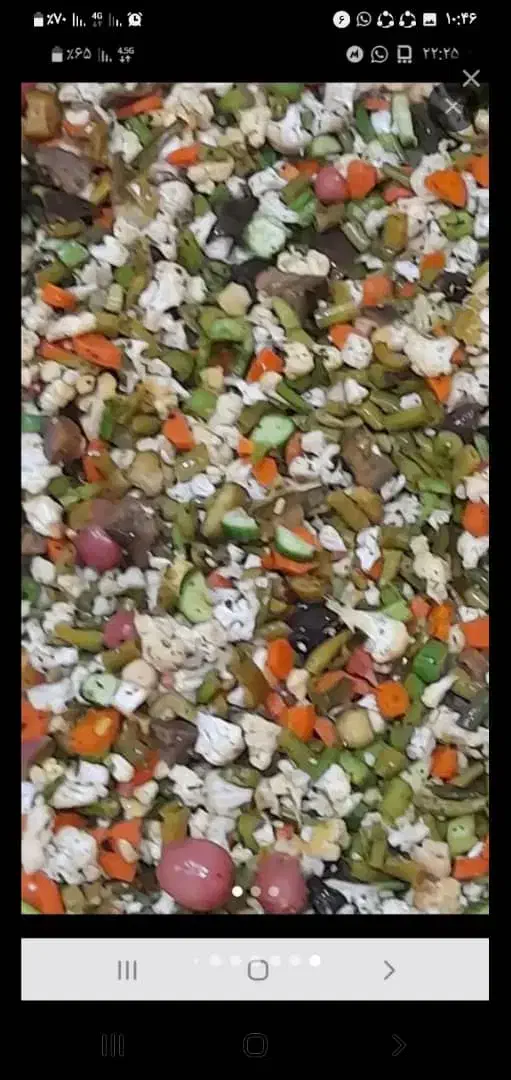 ترشی خانگی|خوردنی و آشامیدنی|ری, شهید غیوری (ابن باویه)|دیوار