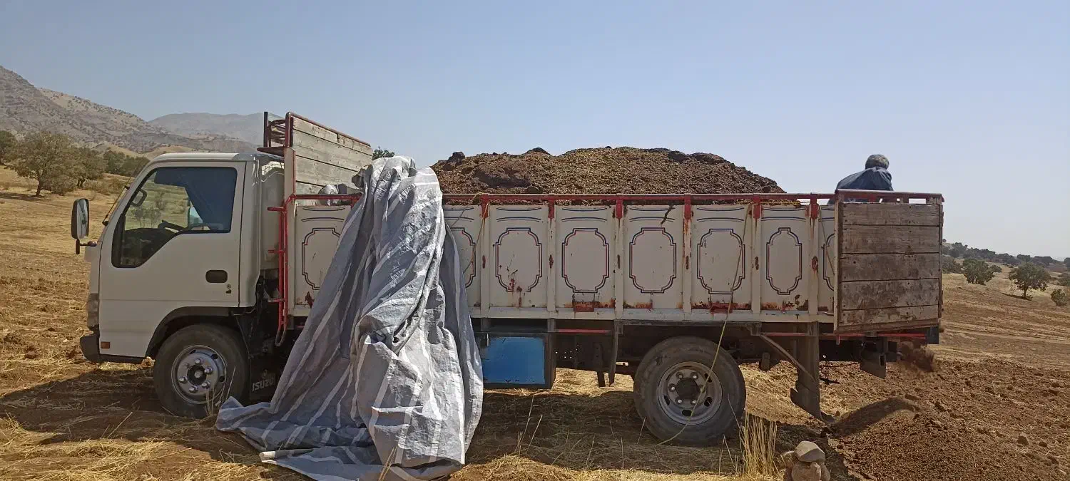 کود گوسفندی وگاوی|خدمات باغبانی و درختکاری|شاهیوند, |دیوار