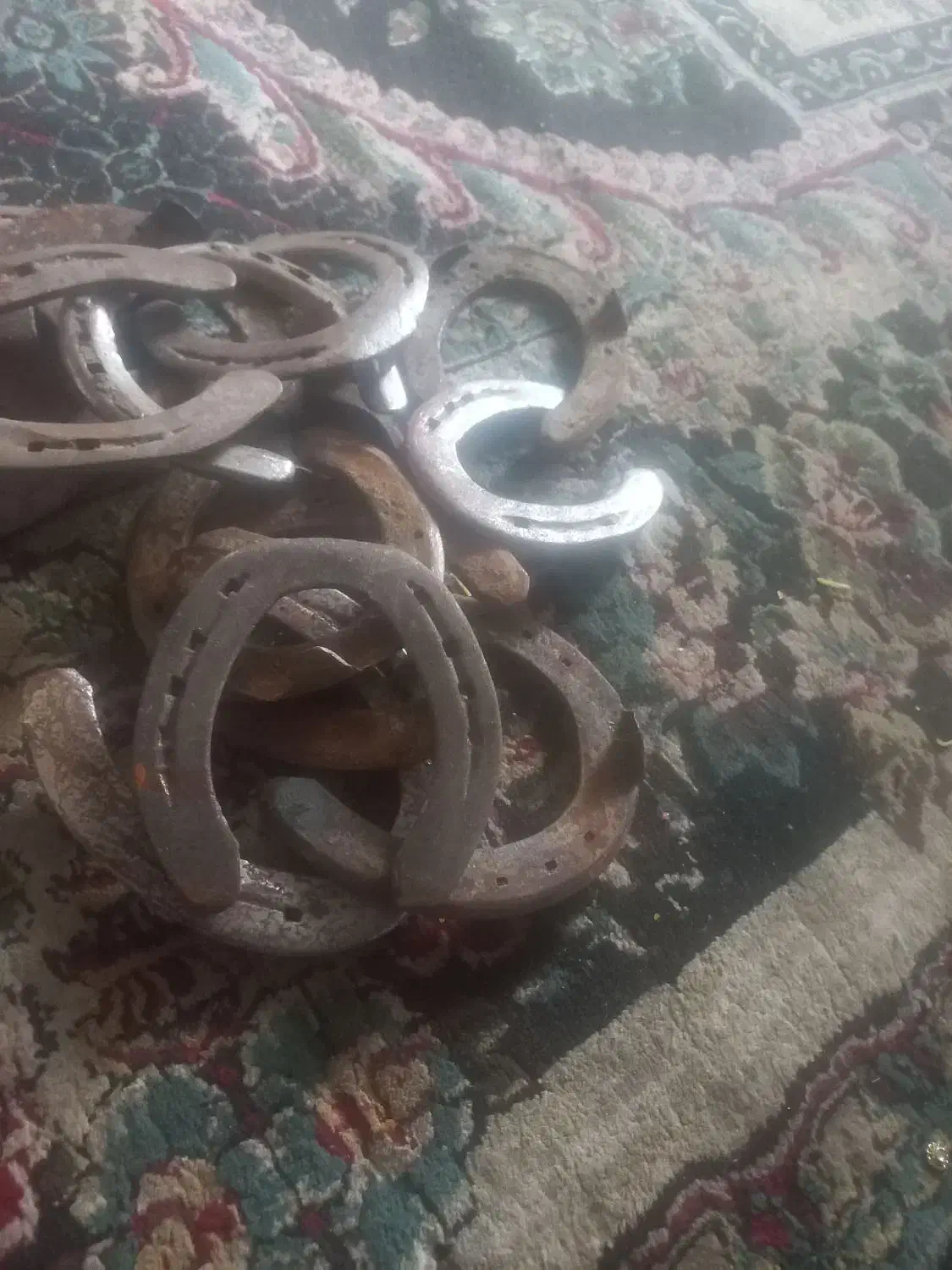 نعل اسب کار کرده|اسب و تجهیزات اسب‌سواری|مشهد, بهمن|دیوار