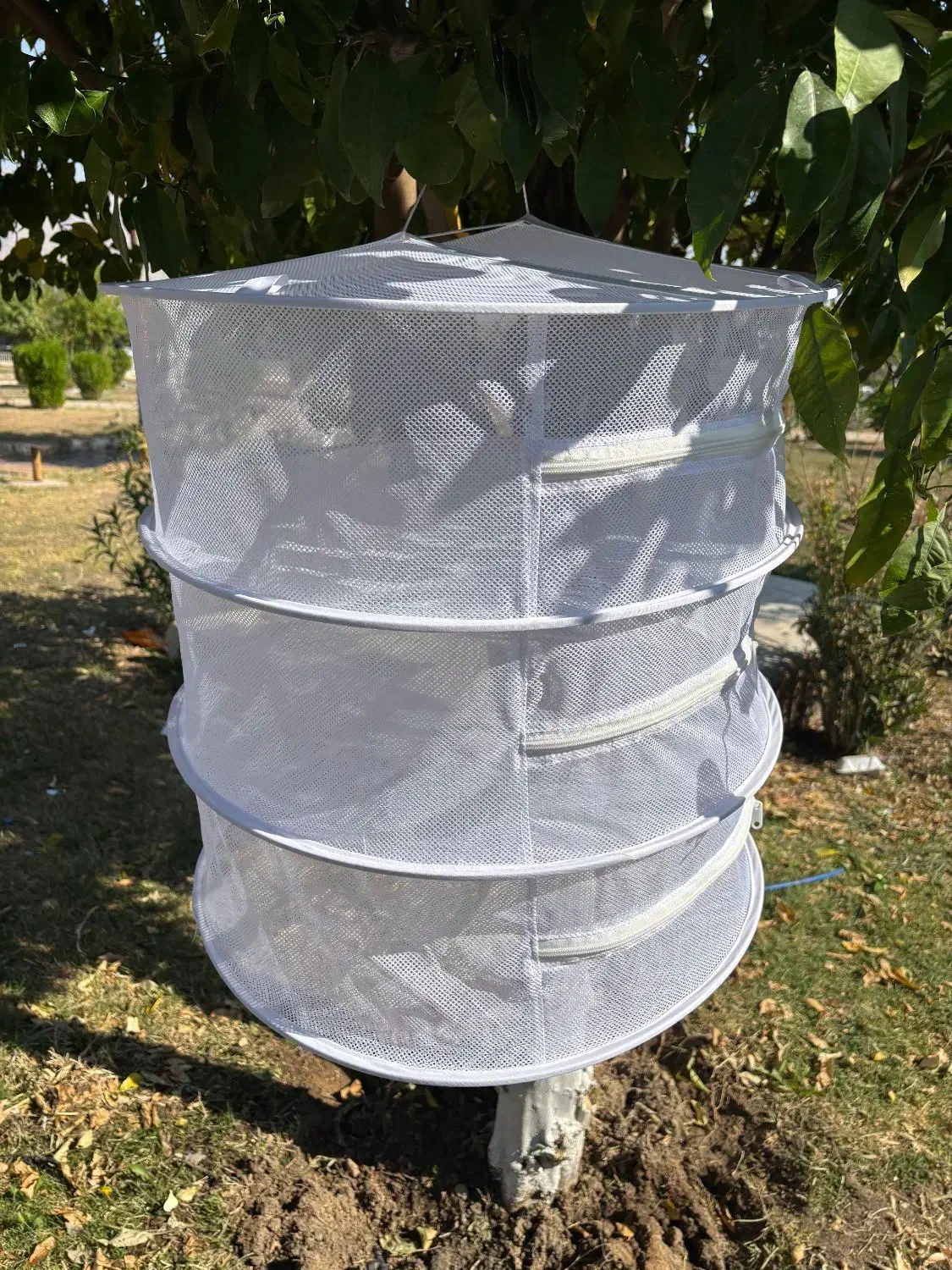 توری سبزی و میوه خشک کن|ظروف نگهدارنده، پلاستیکی، یک‌بارمصرف|دوگنبدان, |دیوار