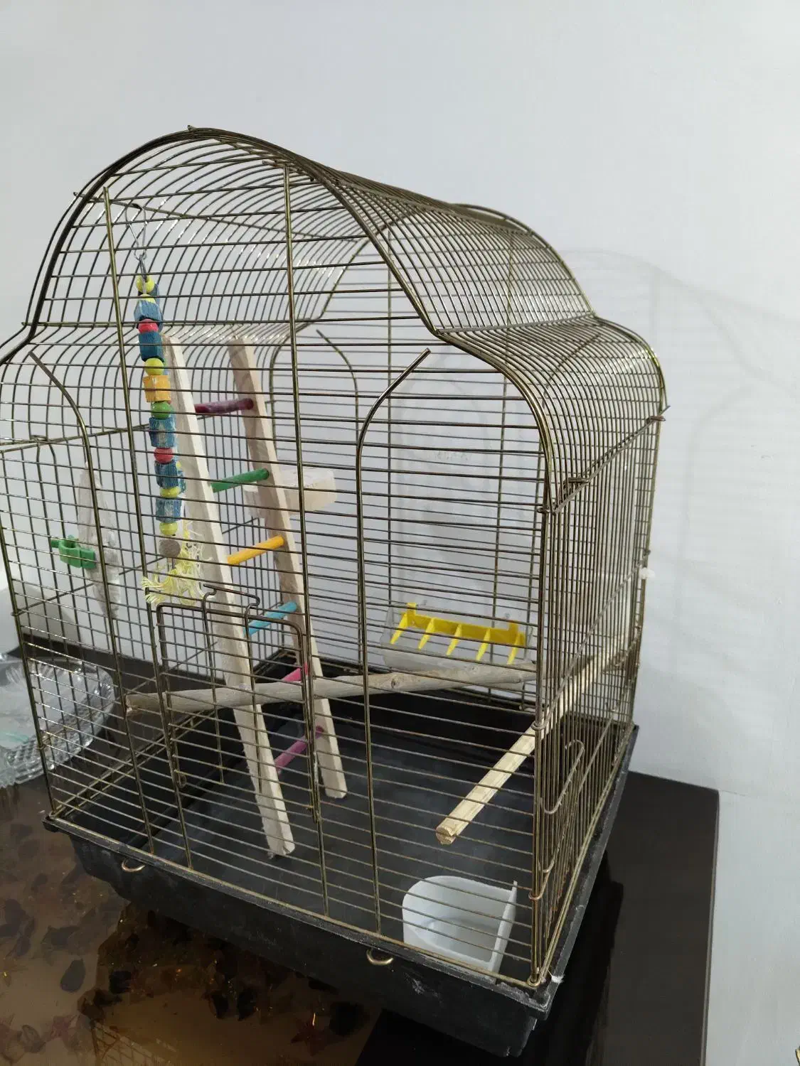 قفس طوطی یا عروس هلندی|لوازم جانبی حیوانات|پردیس, فاز ۱۱|دیوار