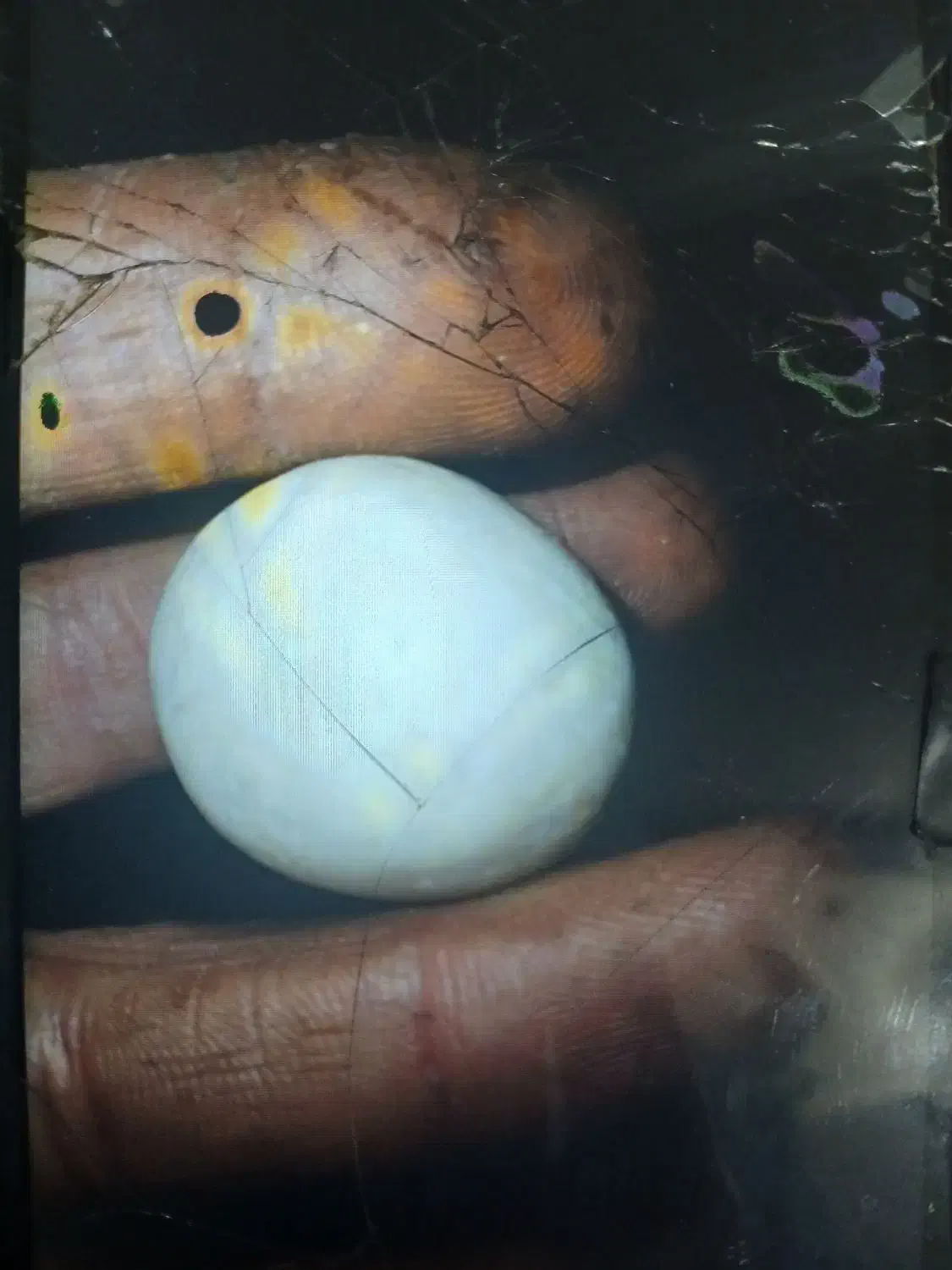 سنگ الماس یا اسیاب|جواهرات|رشت, کوی غلام نیا|دیوار