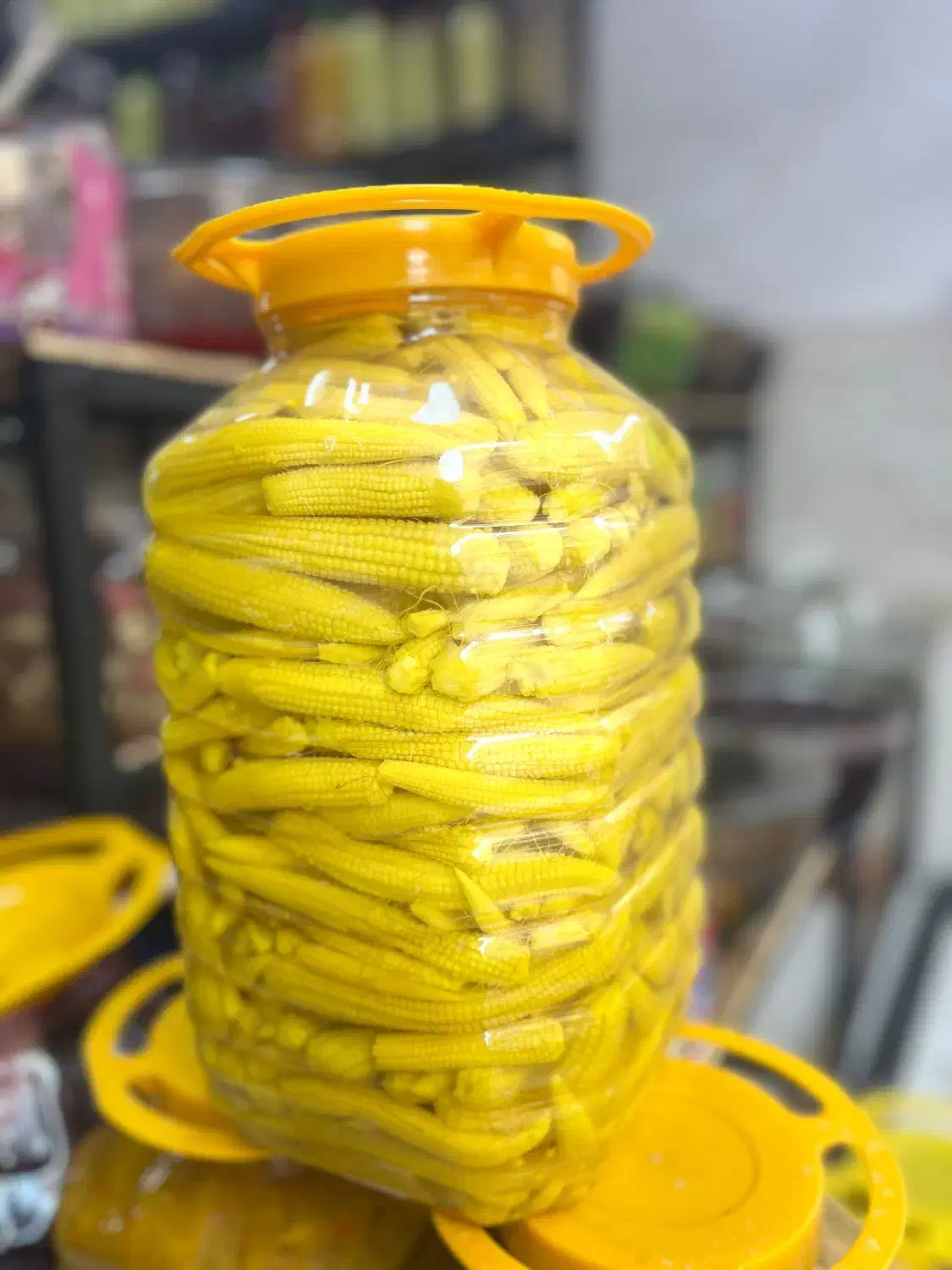 سیر صدفی و گل سیر|خوردنی و آشامیدنی|قم, لسانی|دیوار