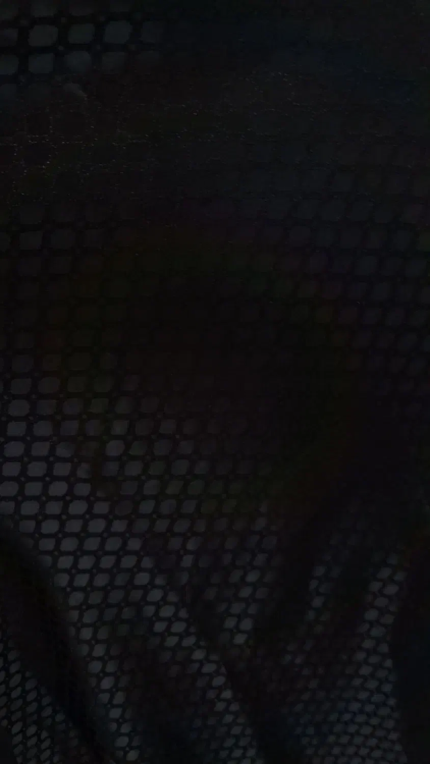 چادر سیاه|لباس|تربتحیدریه, مسجد جامع|دیوار