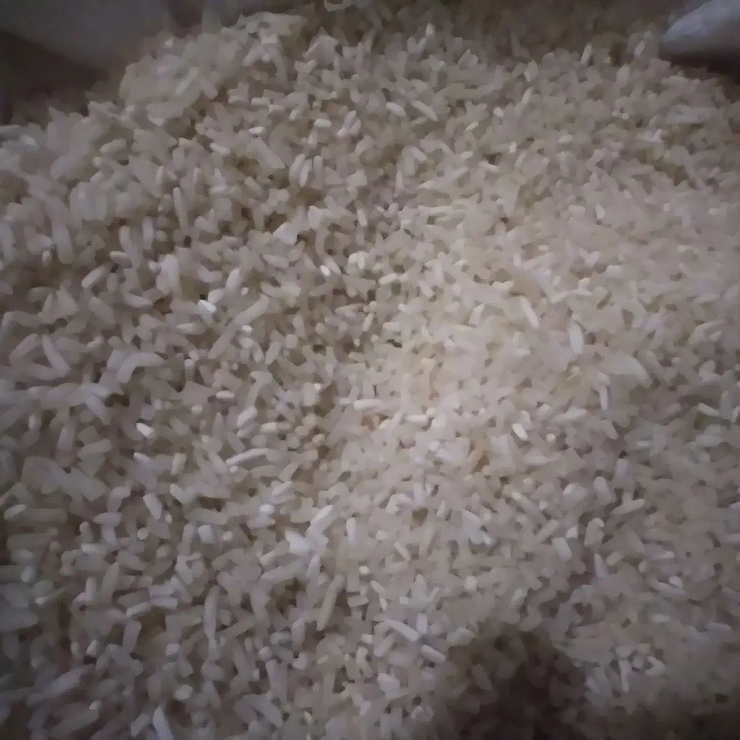 برنج|خوردنی و آشامیدنی|گنبد کاووس, |دیوار