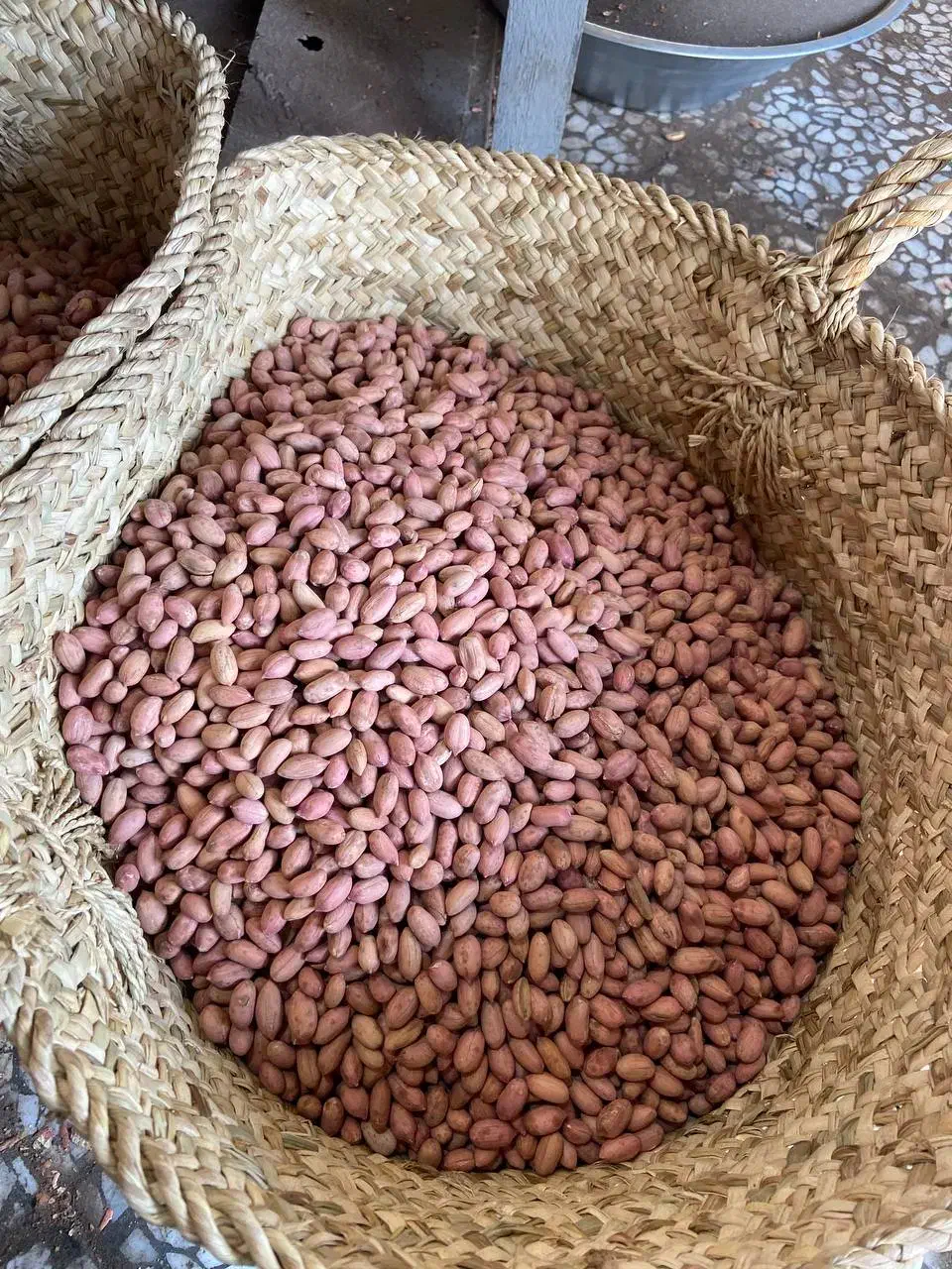 مغز بادام زمینی|عمده‌فروشی|آستانه اشرفیه, |دیوار