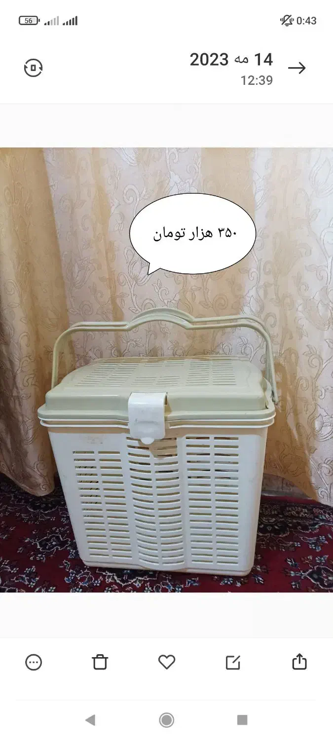 قوری و سبد مسافرتی و شیرینی خوری و کوزه و غیره|ظروف سرو و پذیرایی|سمنان, |دیوار