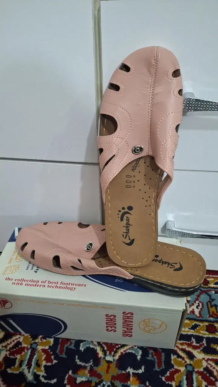 کفش|کیف، کفش، کمربند|قم, ولیعصر|دیوار