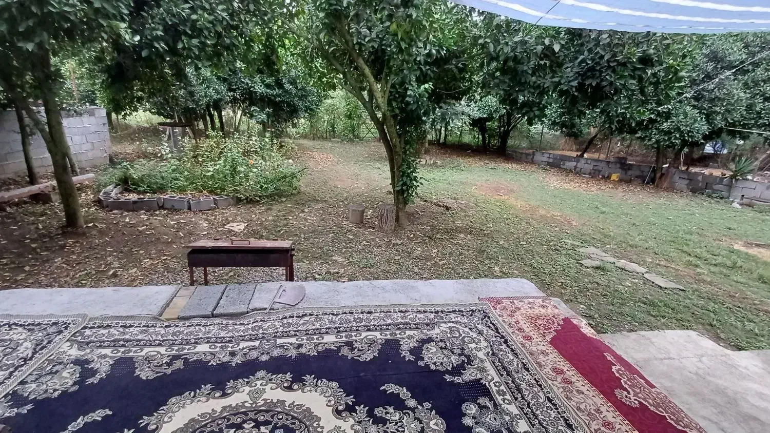 اجاره روزانه/هفتگی/ماهانه ویلا ۱۲۰ متری|اجارهٔ کوتاهمدت ویلا و باغ|ماسال, |دیوار