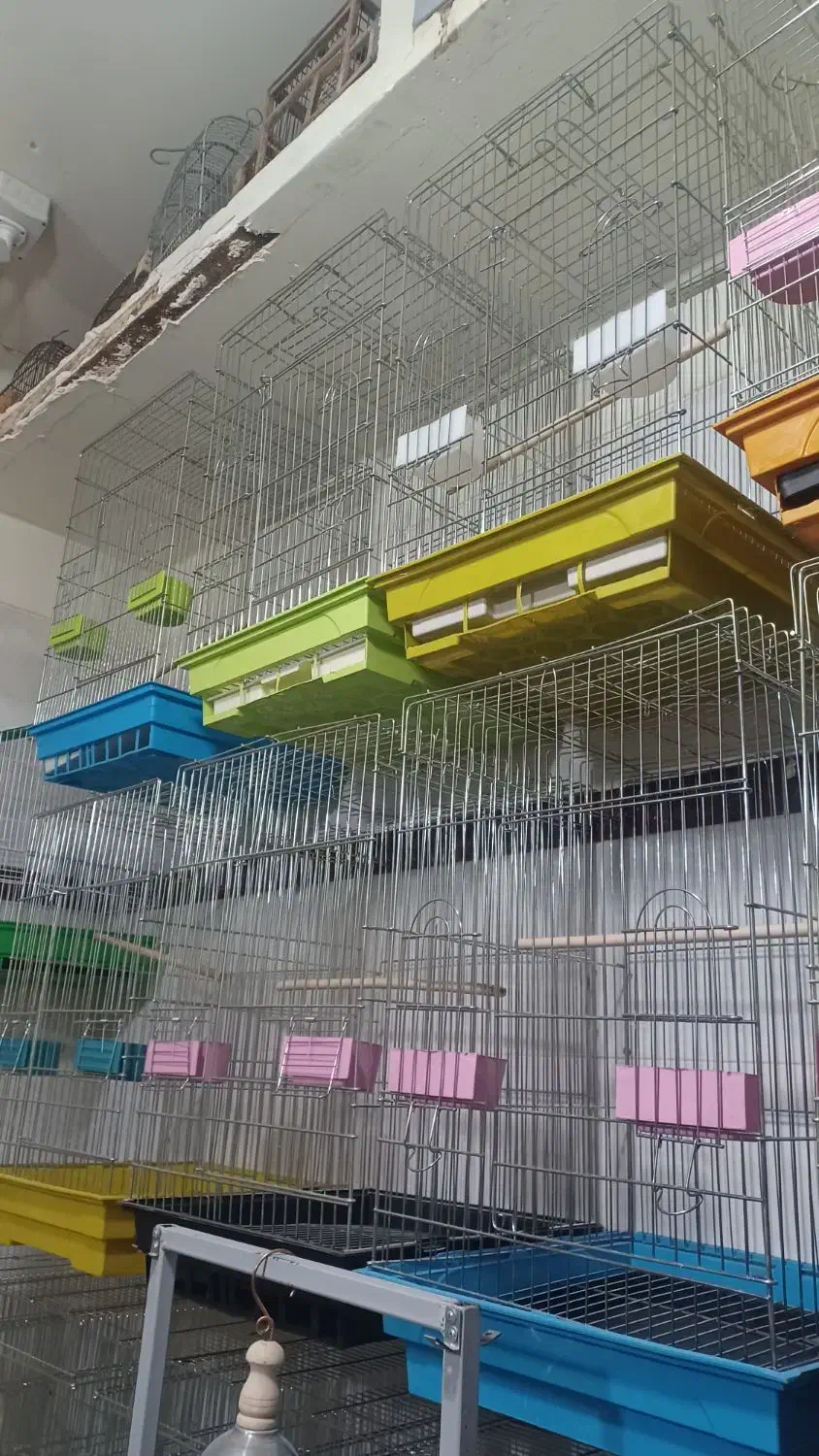 انواع قفس و لوازم پرندگان|لوازم جانبی حیوانات|شاهینشهر, شهرک هشت بهشت|دیوار