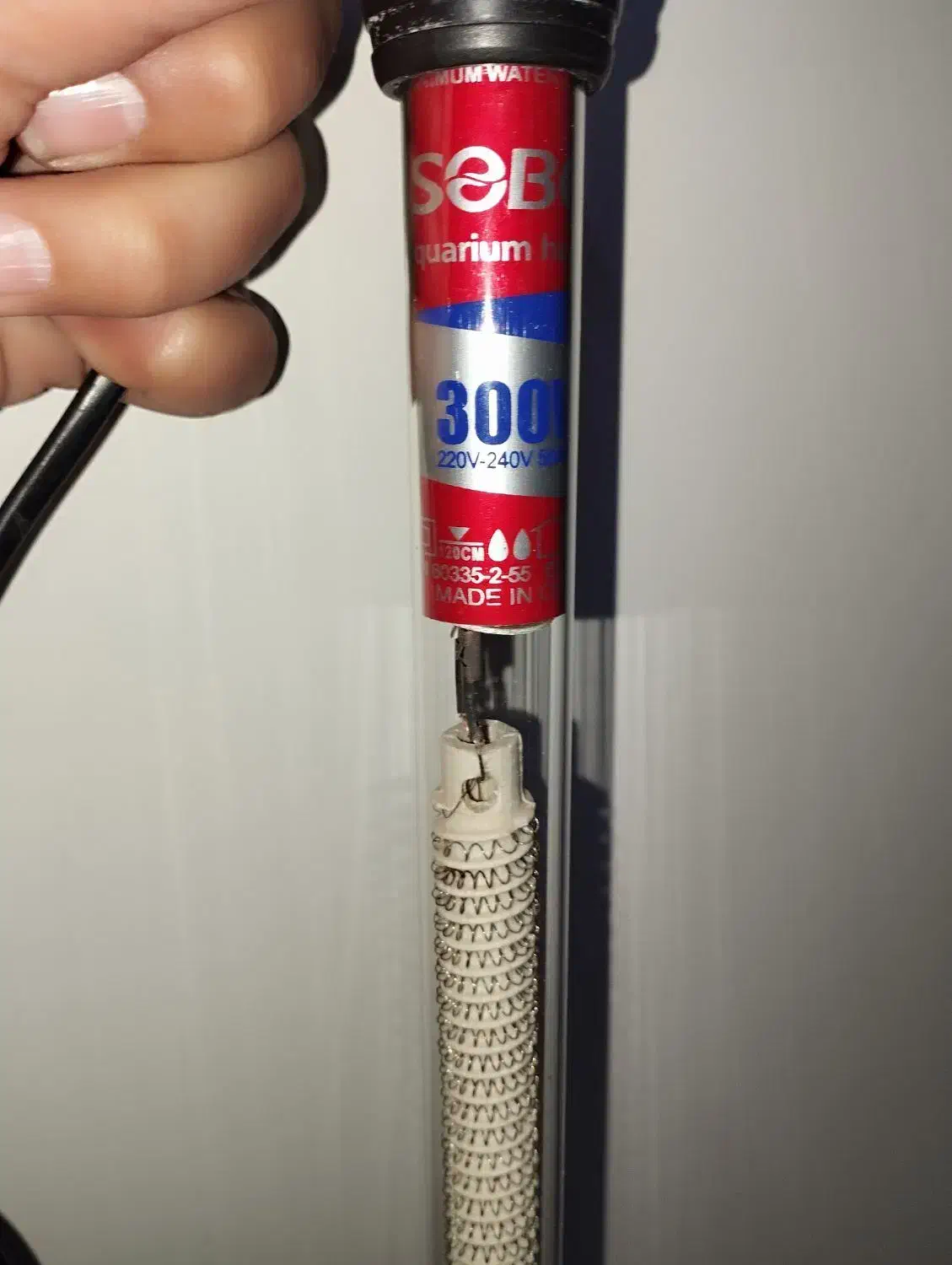 بخاری ماهی|ماهی|تربت‌حیدریه, بهزیستی|دیوار