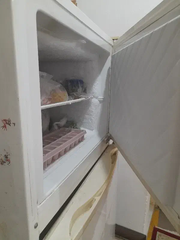 یخچال|یخچال و فریزر|رشت, سلیمانداراب|دیوار