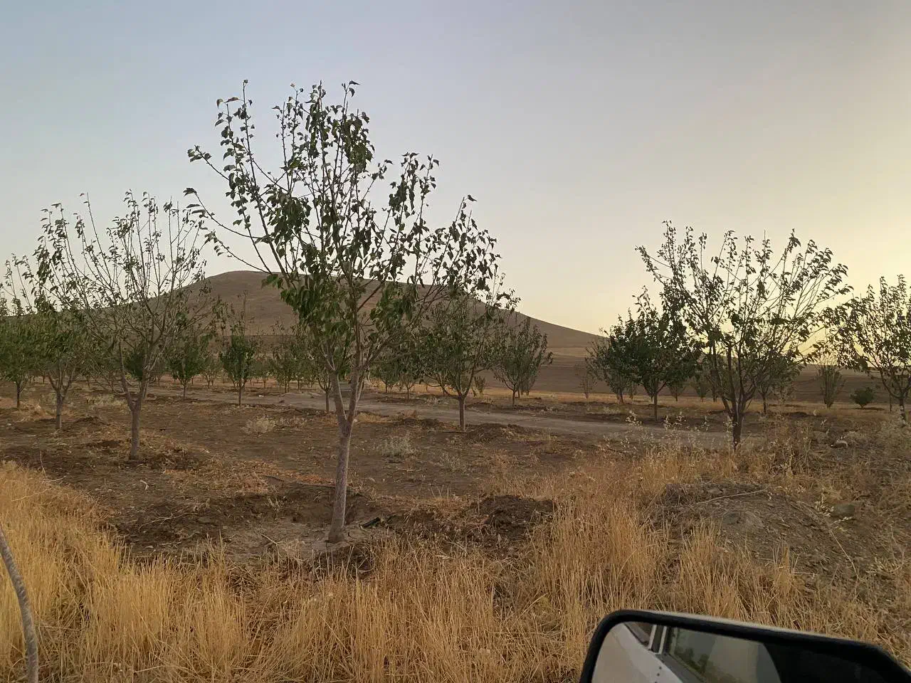 2قطعه زمین خونه باغ در کوسه|فروش زمین و ملک کلنگی|بوکان, |دیوار