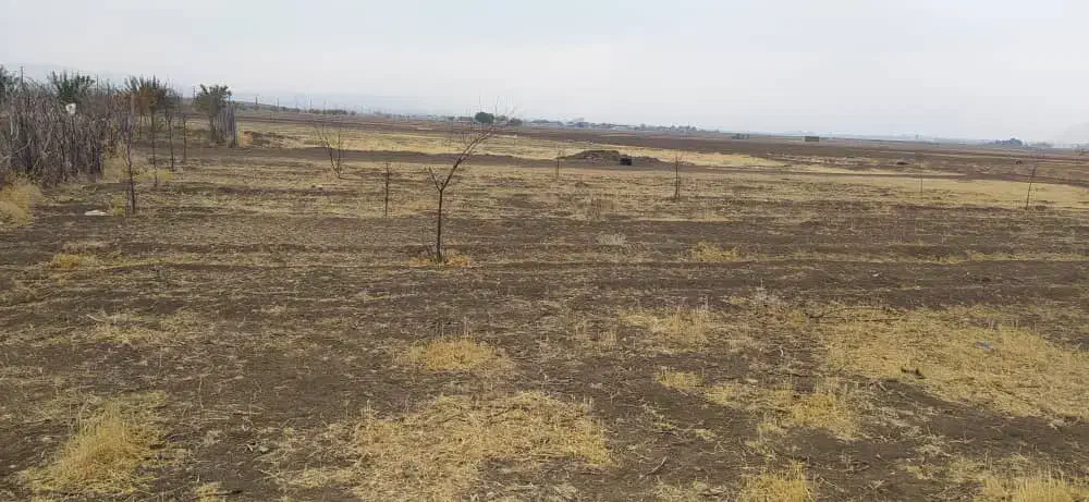 ۱۲۵۰ متر زمین چسب طرح هادی سیاه بید علیا|فروش زمین و ملک کلنگی|کرمانشاه, |دیوار