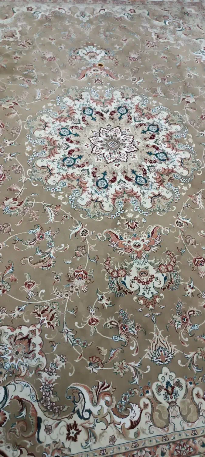 فرش 500شانه و یه عدد کناره|فرش|مشهد, شهید معقول|دیوار