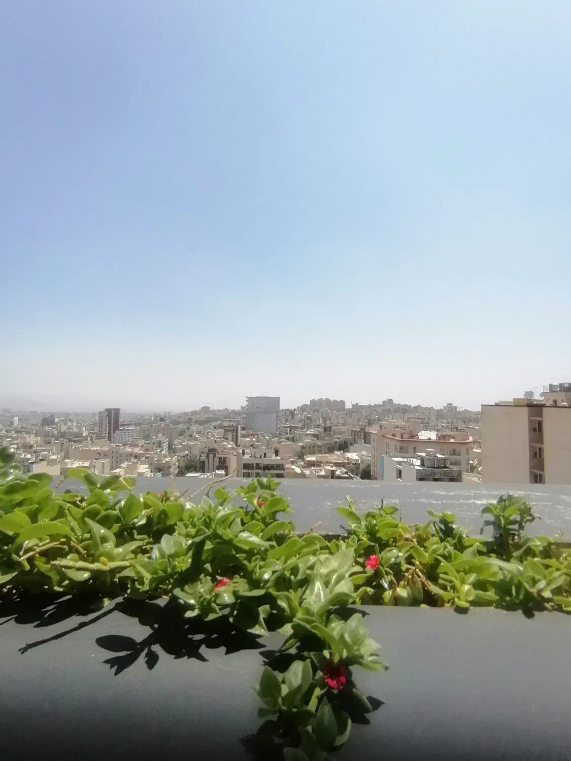 مستغلات سهروردی شمالی در۳طبقه مجزا بازسازی فول|اجارهٔ خانه و ویلا|تهران, نیلوفر|دیوار
