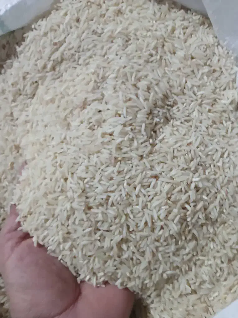 برنج طارم|خوردنی و آشامیدنی|سیروان, |دیوار