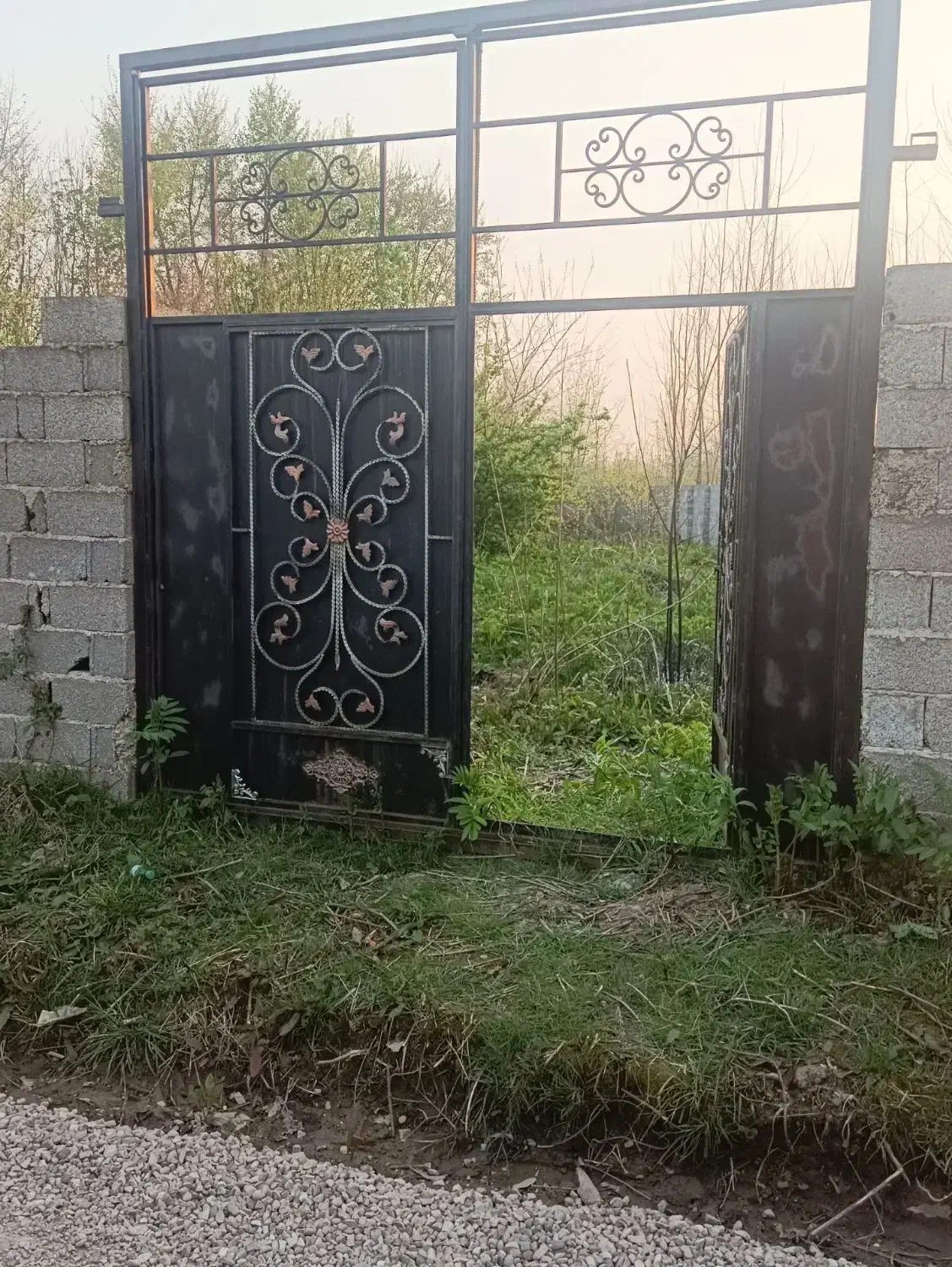 زمین روستایی در گیلان، لشت نشا،روستای پسبیجار گفشه|فروش زمین و ملک کلنگی|لشت نشا, |دیوار