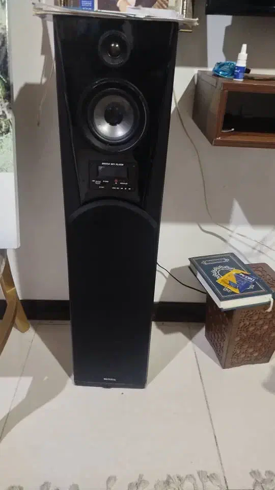 اسپیکرحرفه ای|سیستم صوتی خانگی|چالوس, |دیوار