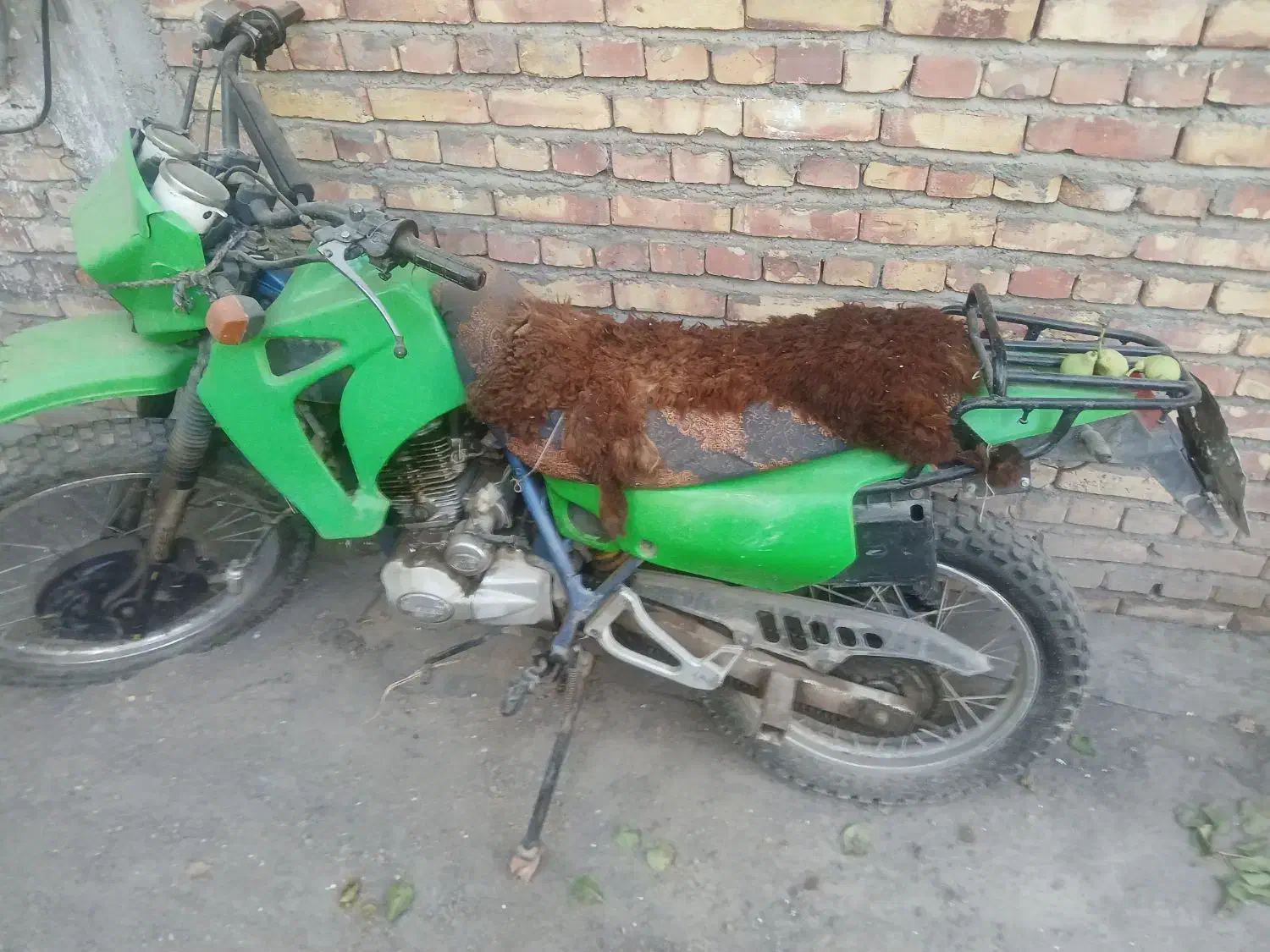 فروش موتورسیکلت تریل ۲۰۰ پیشرو|موتورسیکلت|ملارد, |دیوار