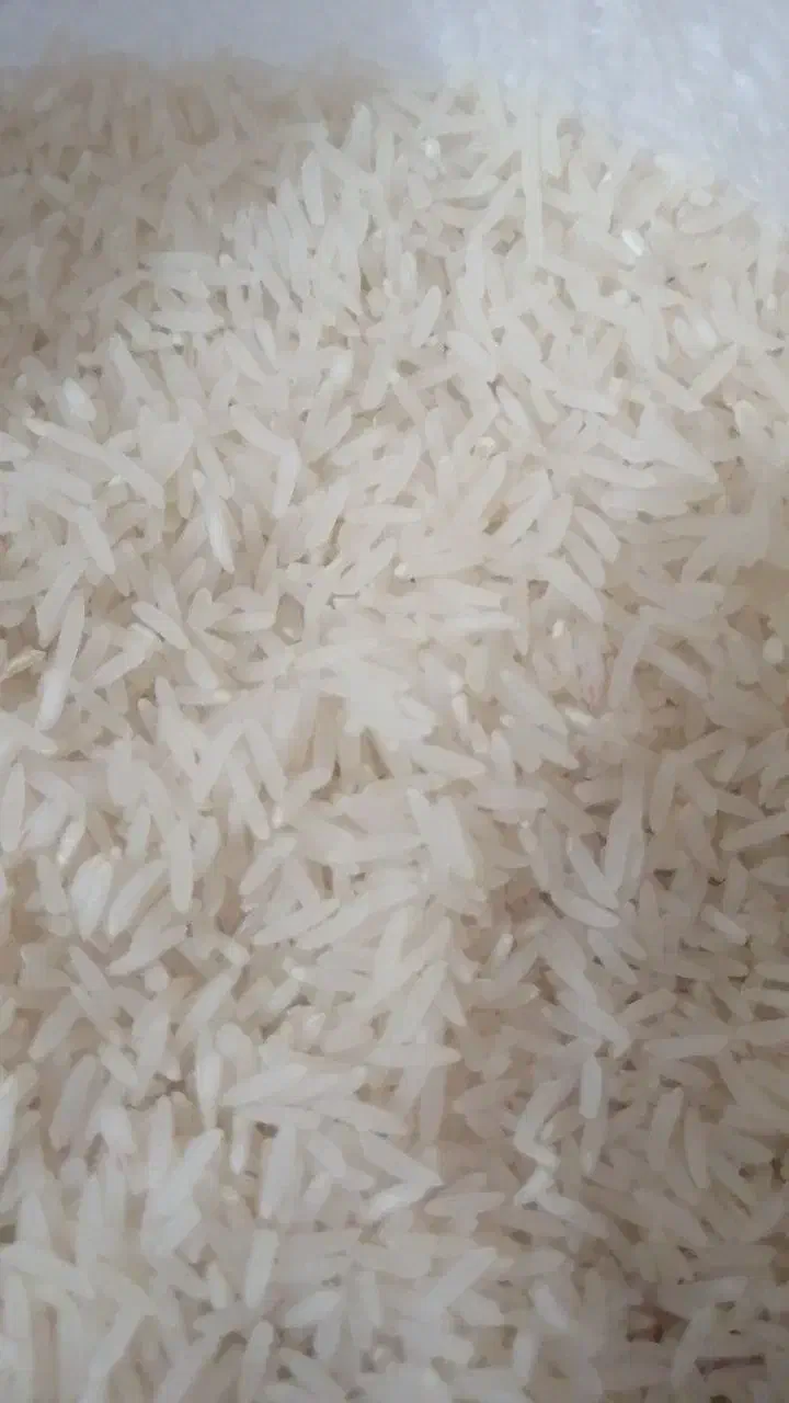 فجر اعلا|خوردنی و آشامیدنی|علیآباد کتول, |دیوار