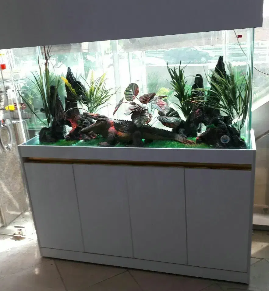 نصب وراه اندازی وسرویس آکواریوم|ماهی|کرج, عظیمیه|دیوار