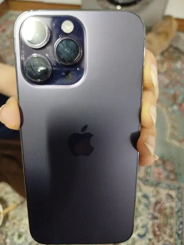 گوشی آیفون ۱۴ پرومکس|موبایل|دوگنبدان, |دیوار