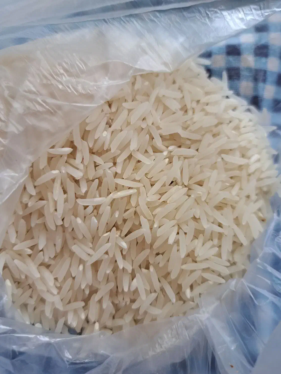 برنج فجر کشت اول|خوردنی و آشامیدنی|آمل, |دیوار