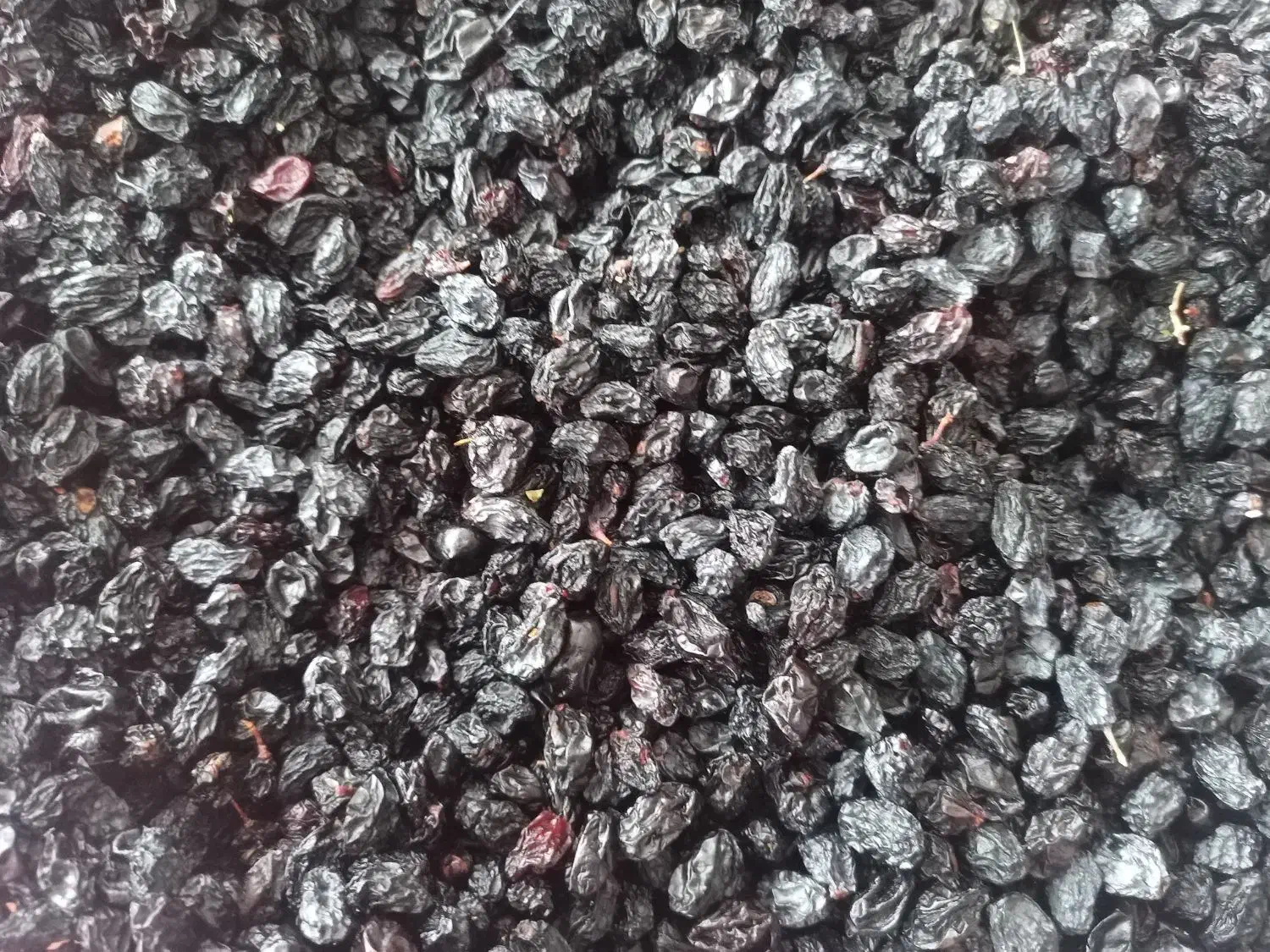 میوژ|خوردنی و آشامیدنی|اورامان, |دیوار