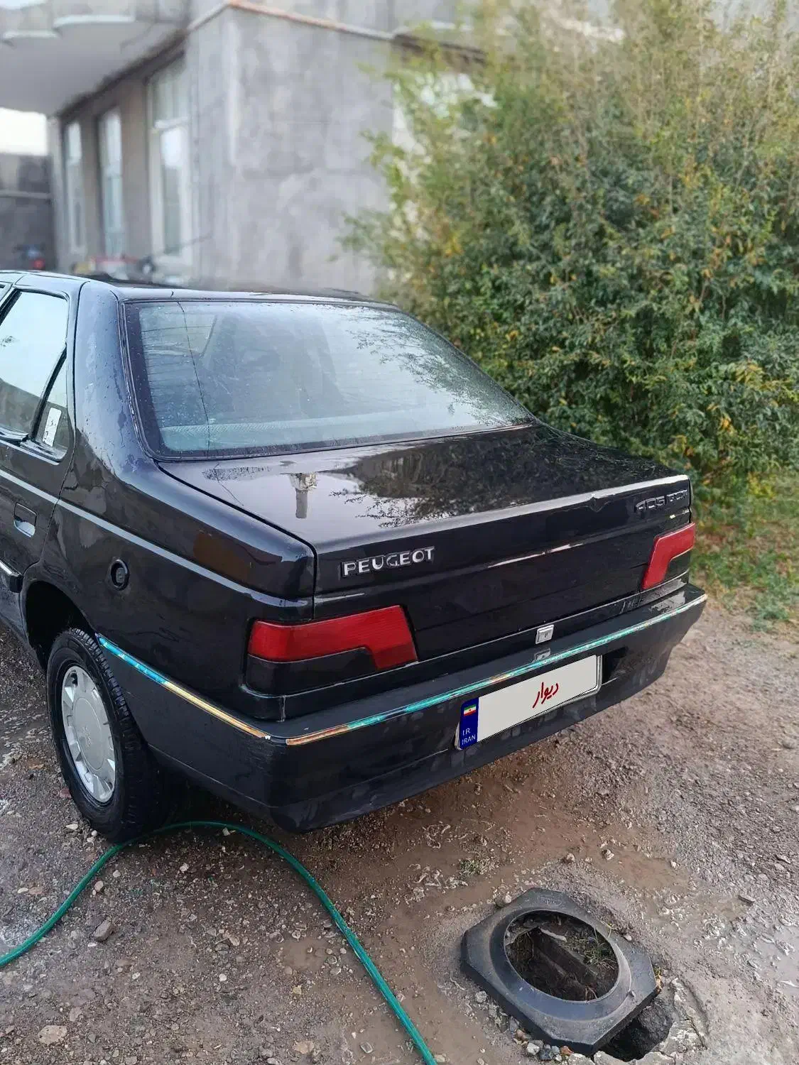 پژو2000 مدل 81|خودرو سواری و وانت|مشهد, رباط طرق|دیوار